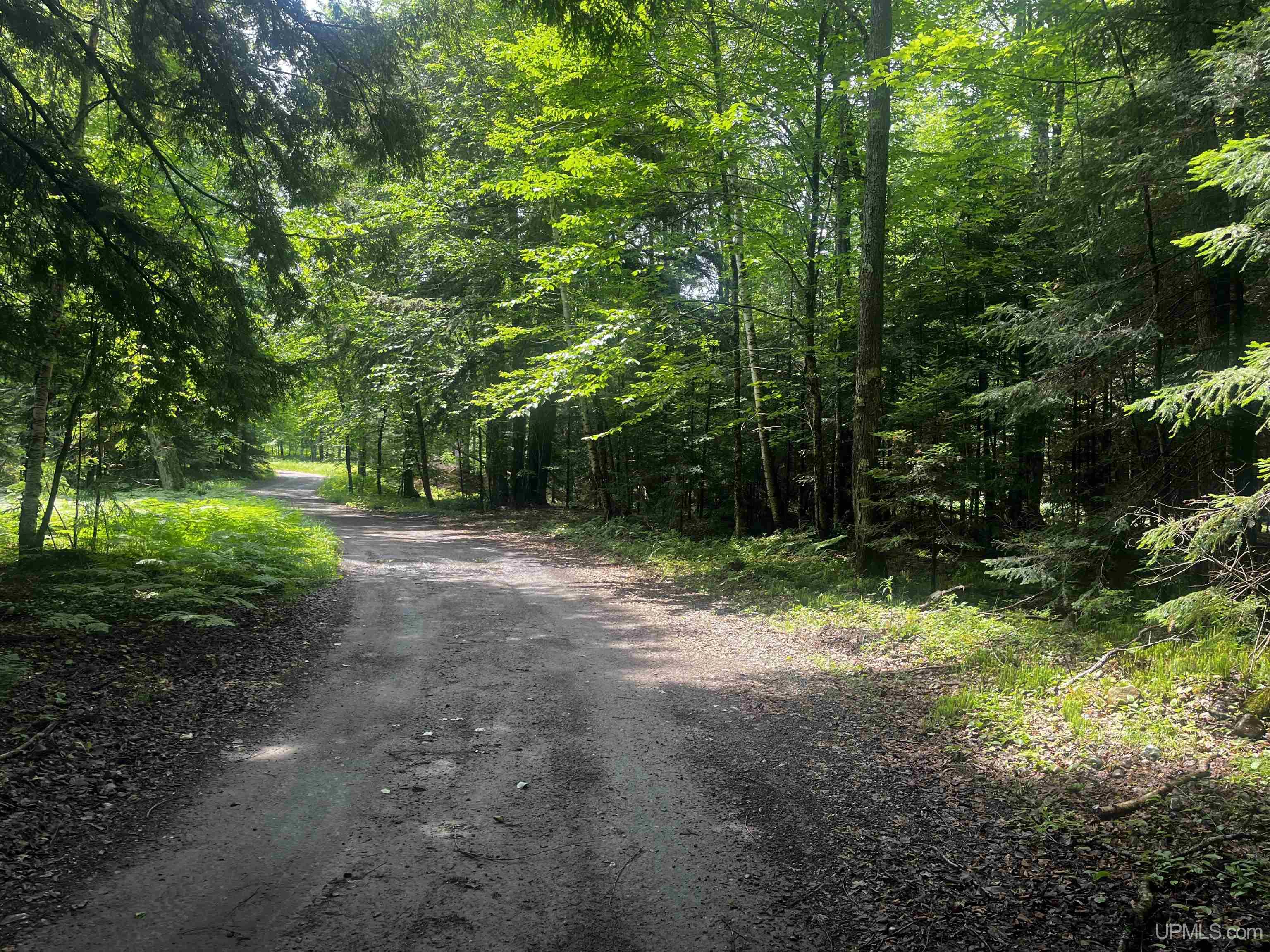 Parcel 1 Grant Lake Road Republic, MI 49879 - Photo 7 of 23