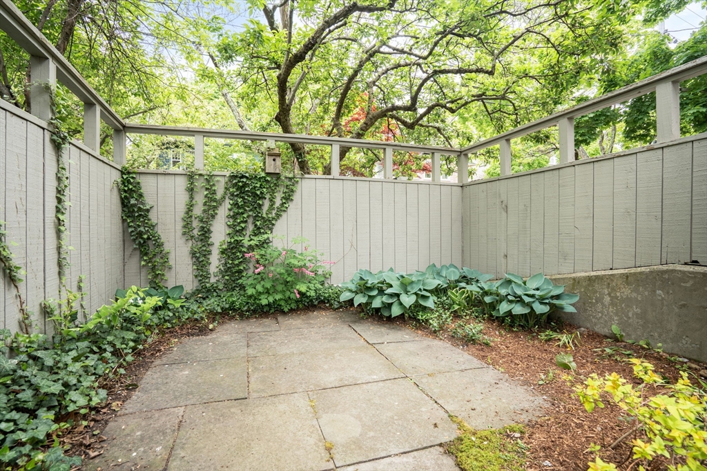 99-101 Larch Road, Unit 99 Cambridge, MA 02138 - Photo 37 of 38