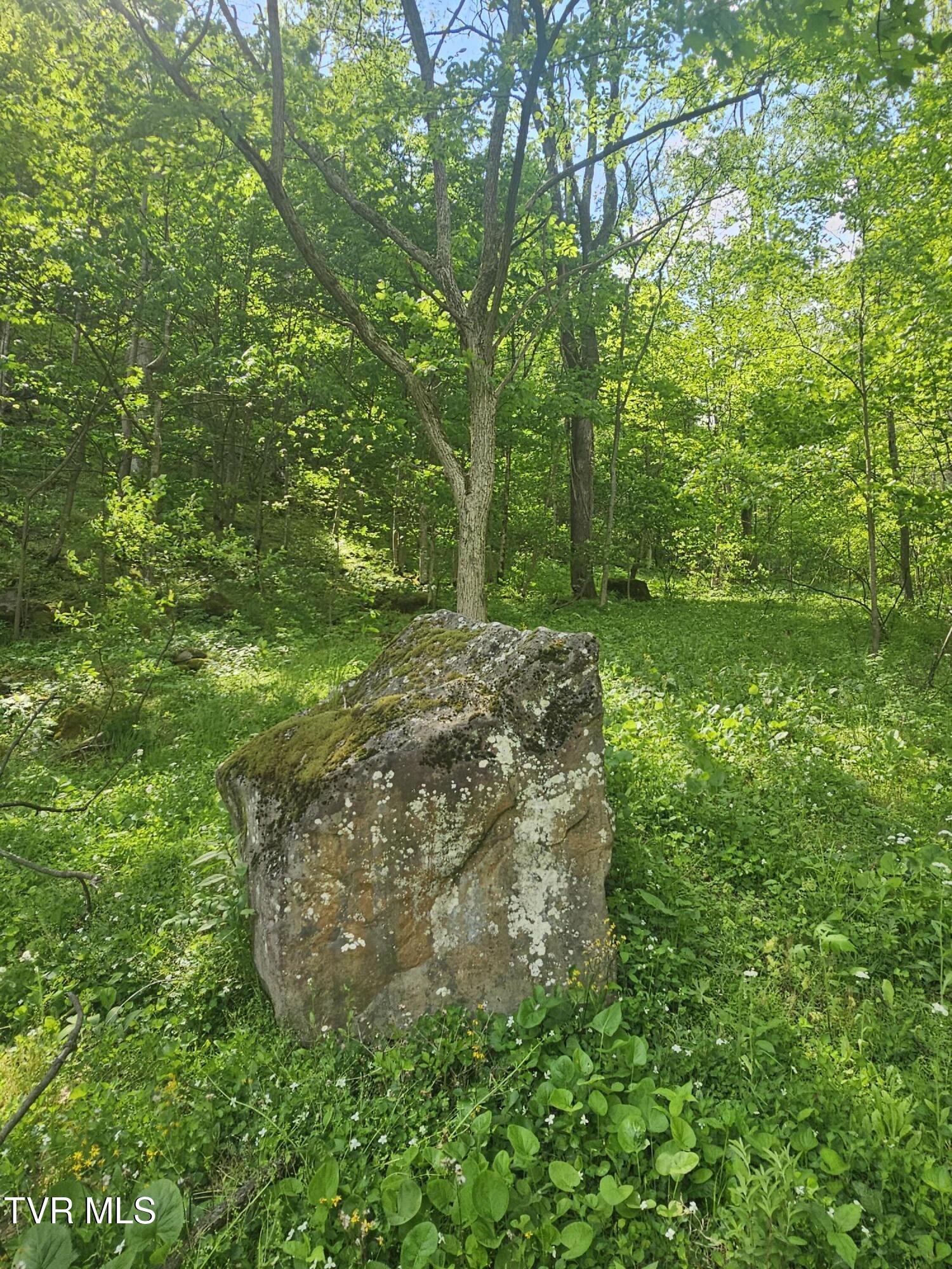 1097 Peter Pan Road Big Rock, VA 24603 - Photo 11 of 17 11