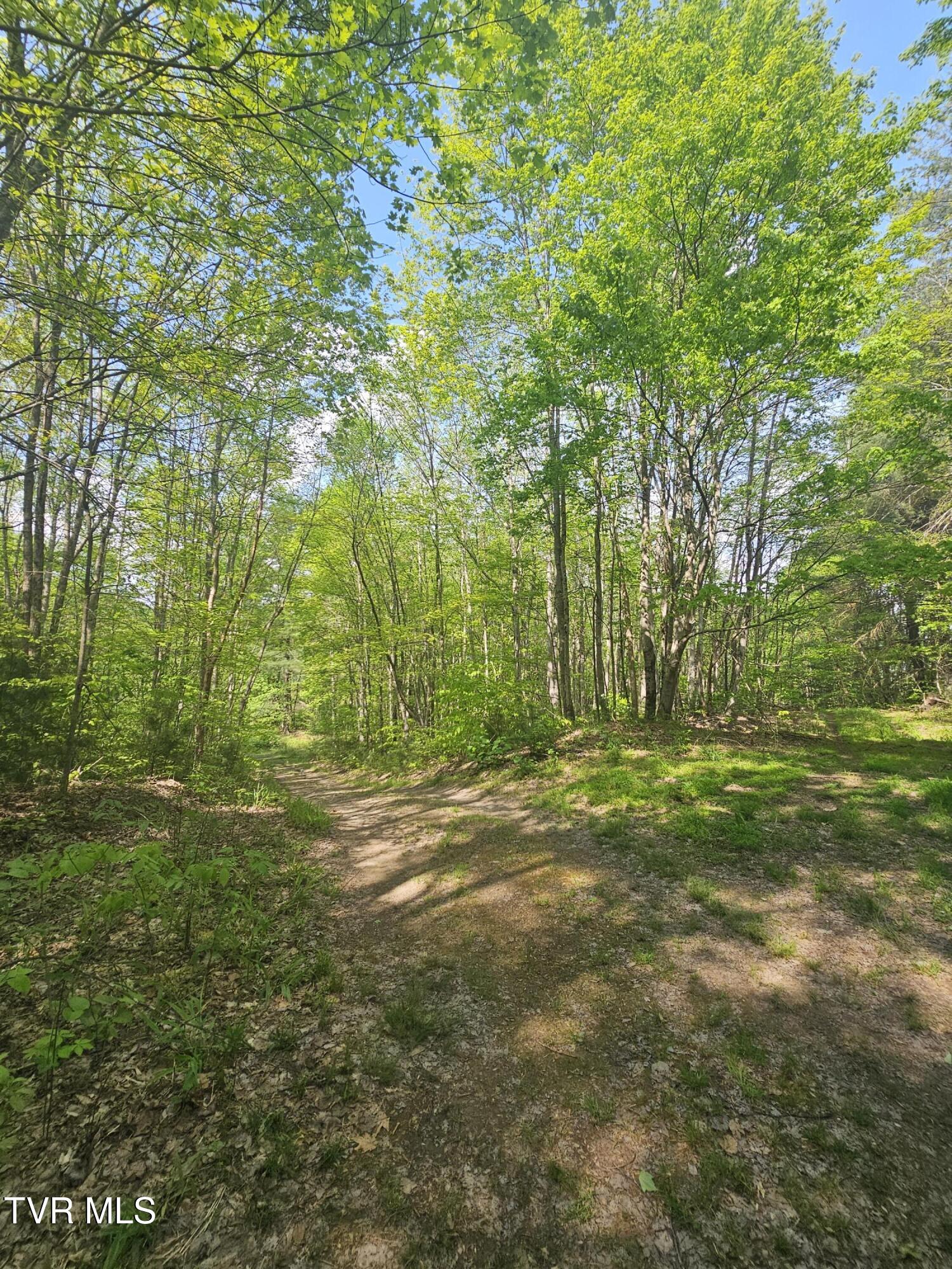 1097 Peter Pan Road Big Rock, VA 24603 - Photo 14 of 17 14