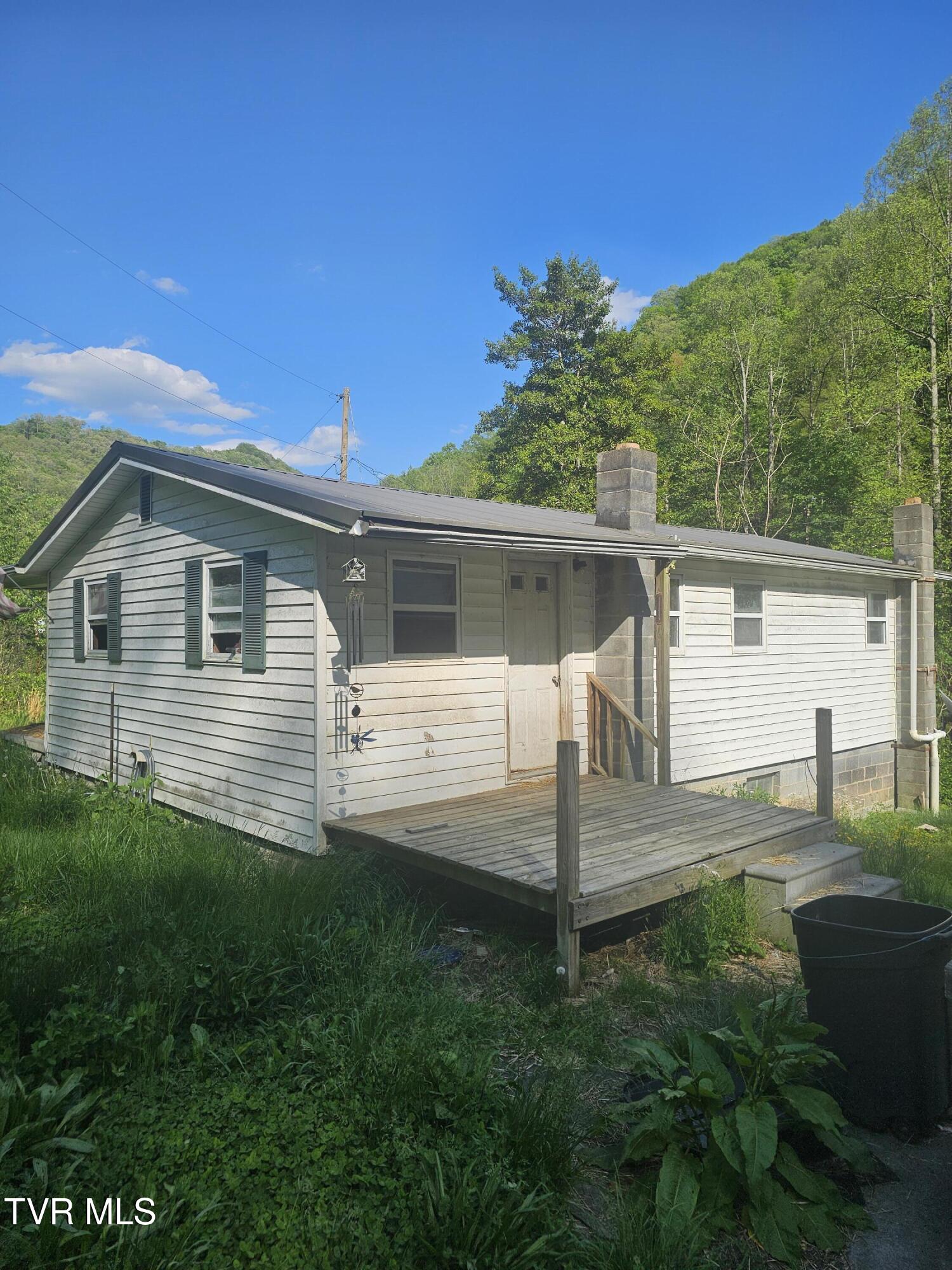 1097 Peter Pan Road Big Rock, VA 24603 - Photo 3 of 17 3