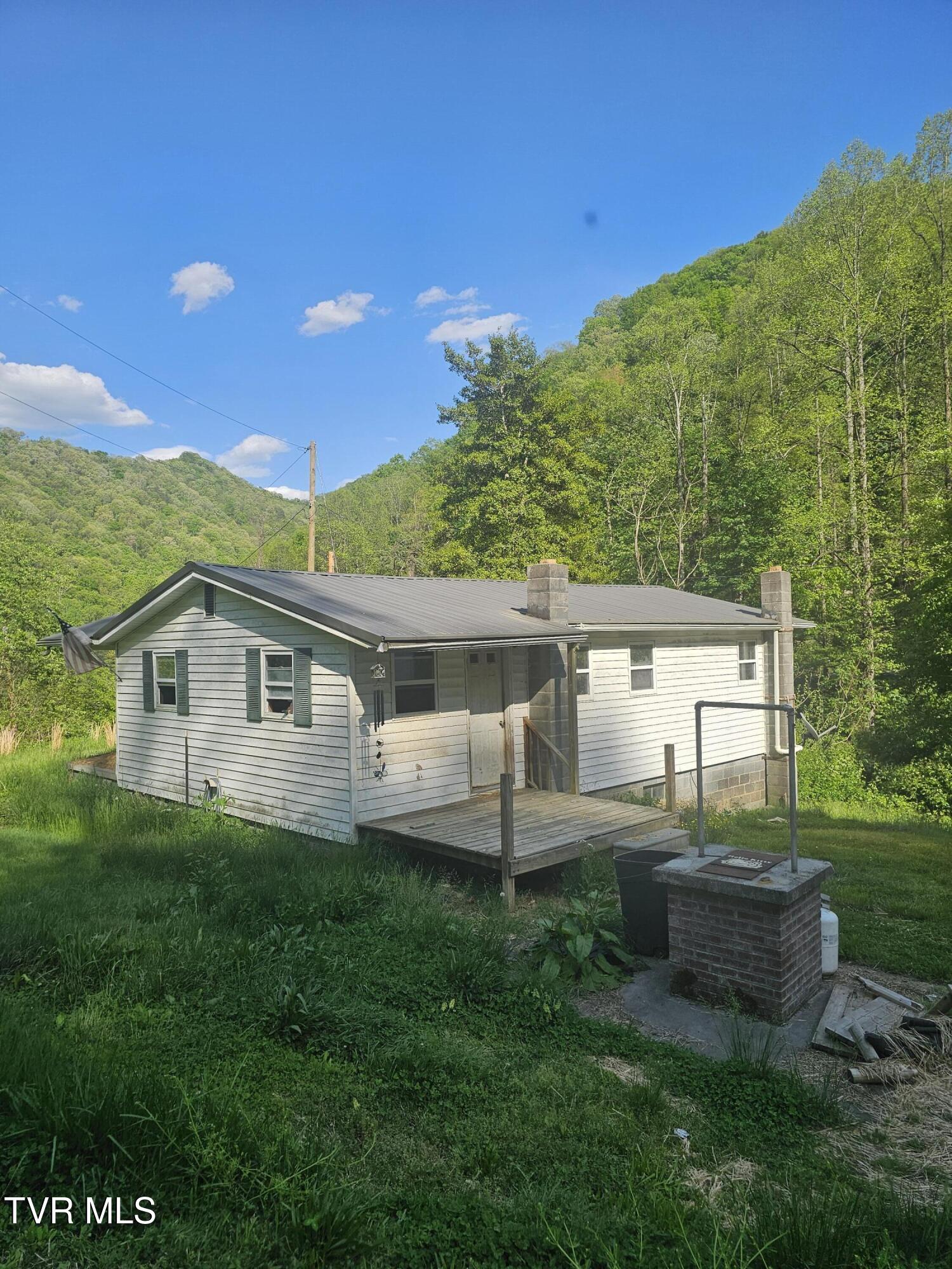 1097 Peter Pan Road Big Rock, VA 24603 - Photo 4 of 17 4