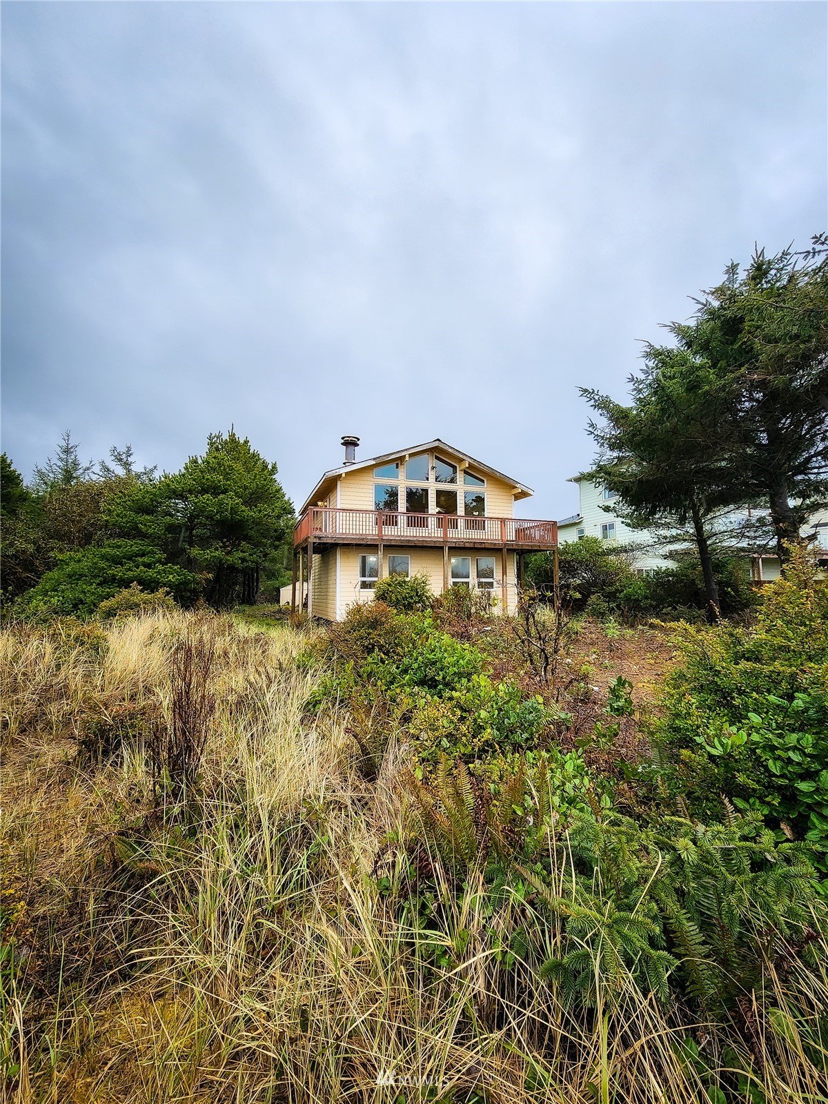 a view of a big house with a yard and plants