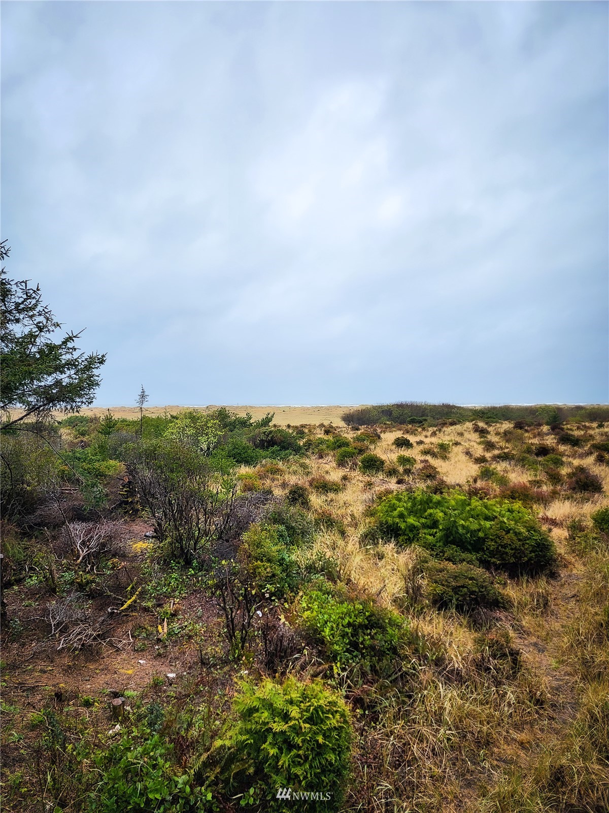 39 Ocean Lane Copalis Beach, WA 98535 - Photo 17 of 21 a view of an ocean