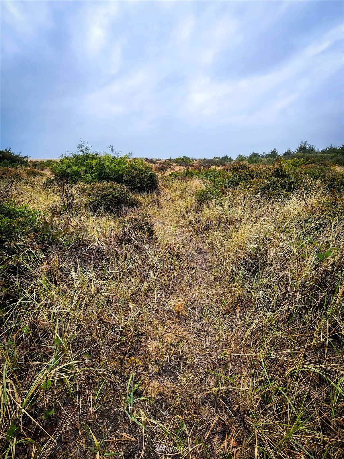 39 Ocean Lane Copalis Beach, WA 98535 - Photo 20 of 21 a view of a lake and sunset
