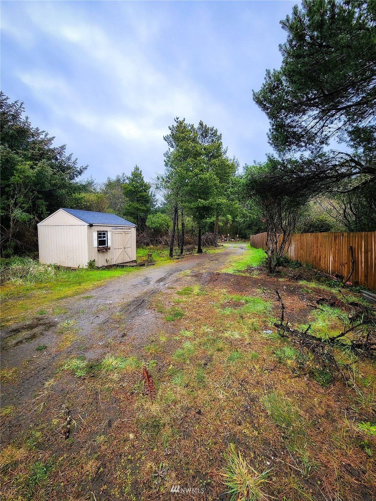 39 Ocean Lane Copalis Beach, WA 98535 - Photo 21 of 21 a backyard of a house with lots of green space and plants