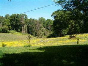 1700 Old Spencer Mountain Road Dallas, NC 28034 - Photo 4 of 7 a view of a yard with an outdoor space