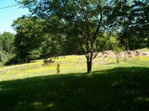1700 Old Spencer Mountain Road Dallas, NC 28034 - Photo 5 of 7 a view of an ocean from a yard