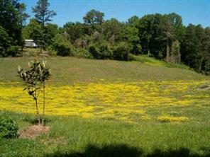 1700 Old Spencer Mountain Road Dallas, NC 28034 - Photo 7 of 7 a view of a lake