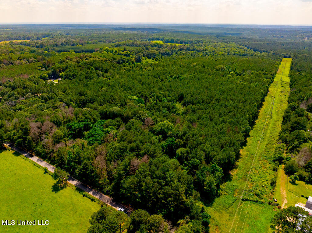 Lot 0 Miller Road Prentiss, MS 39474 - Photo 1 of 17 Primary Photo