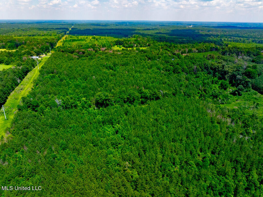 Lot 0 Miller Road Prentiss, MS 39474 - Photo 11 of 17 10