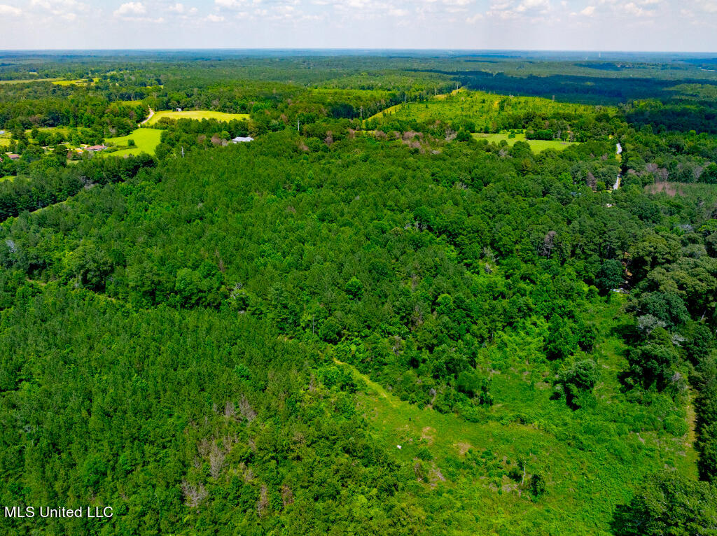 Lot 0 Miller Road Prentiss, MS 39474 - Photo 12 of 17 11