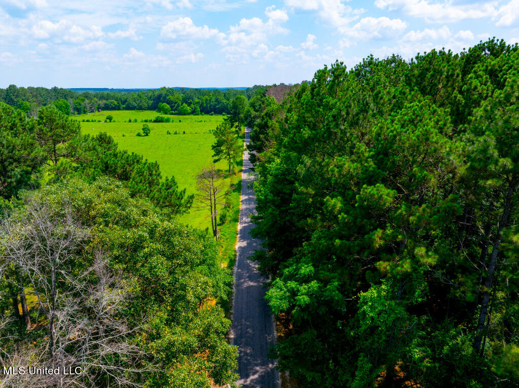 Lot 0 Miller Road Prentiss, MS 39474 - Photo 3 of 17 02