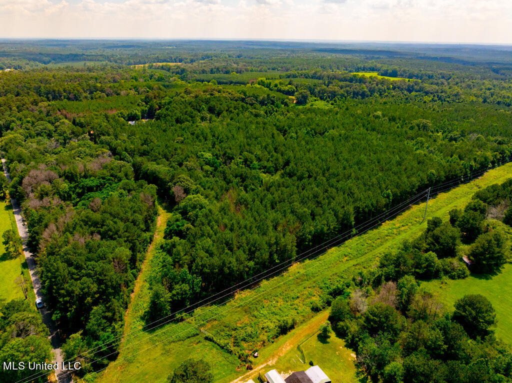 Lot 0 Miller Road Prentiss, MS 39474 - Photo 4 of 17 03
