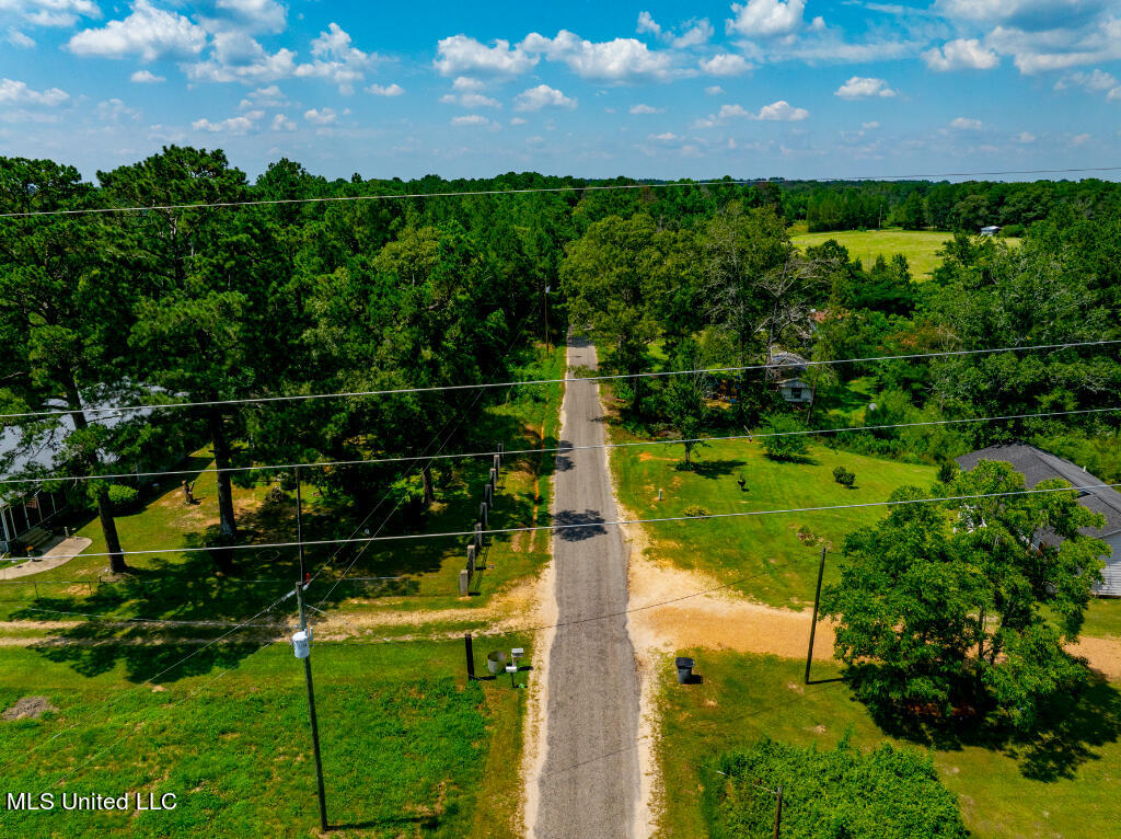 Lot 0 Miller Road Prentiss, MS 39474 - Photo 5 of 17 04