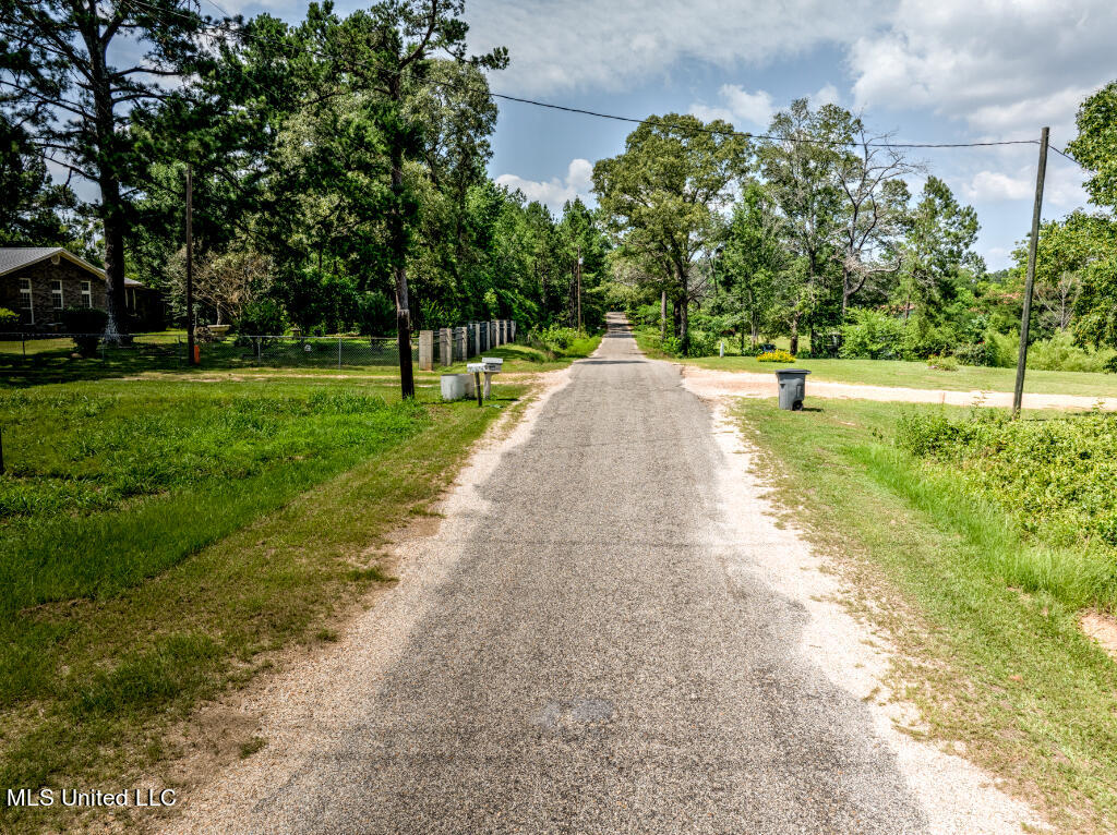 Lot 0 Miller Road Prentiss, MS 39474 - Photo 7 of 17 06