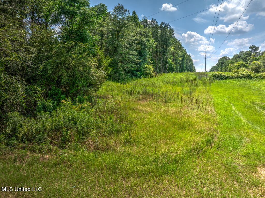 Lot 0 Miller Road Prentiss, MS 39474 - Photo 8 of 17 07
