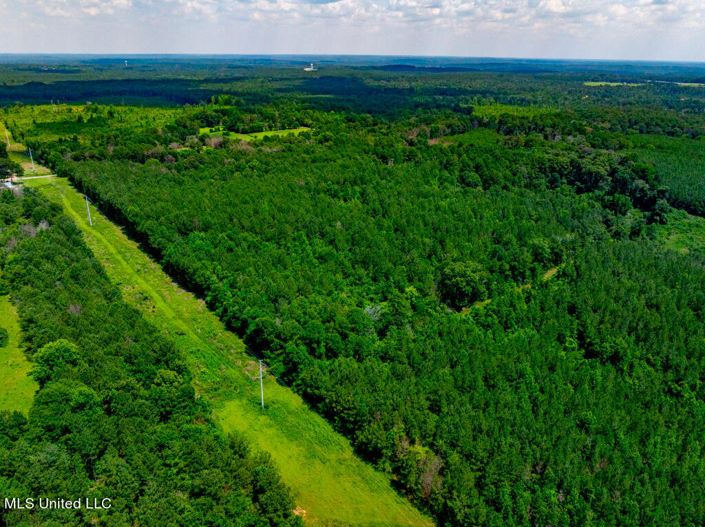 Lot 0 Miller Road Prentiss, MS 39474 - Photo 9 of 17 08