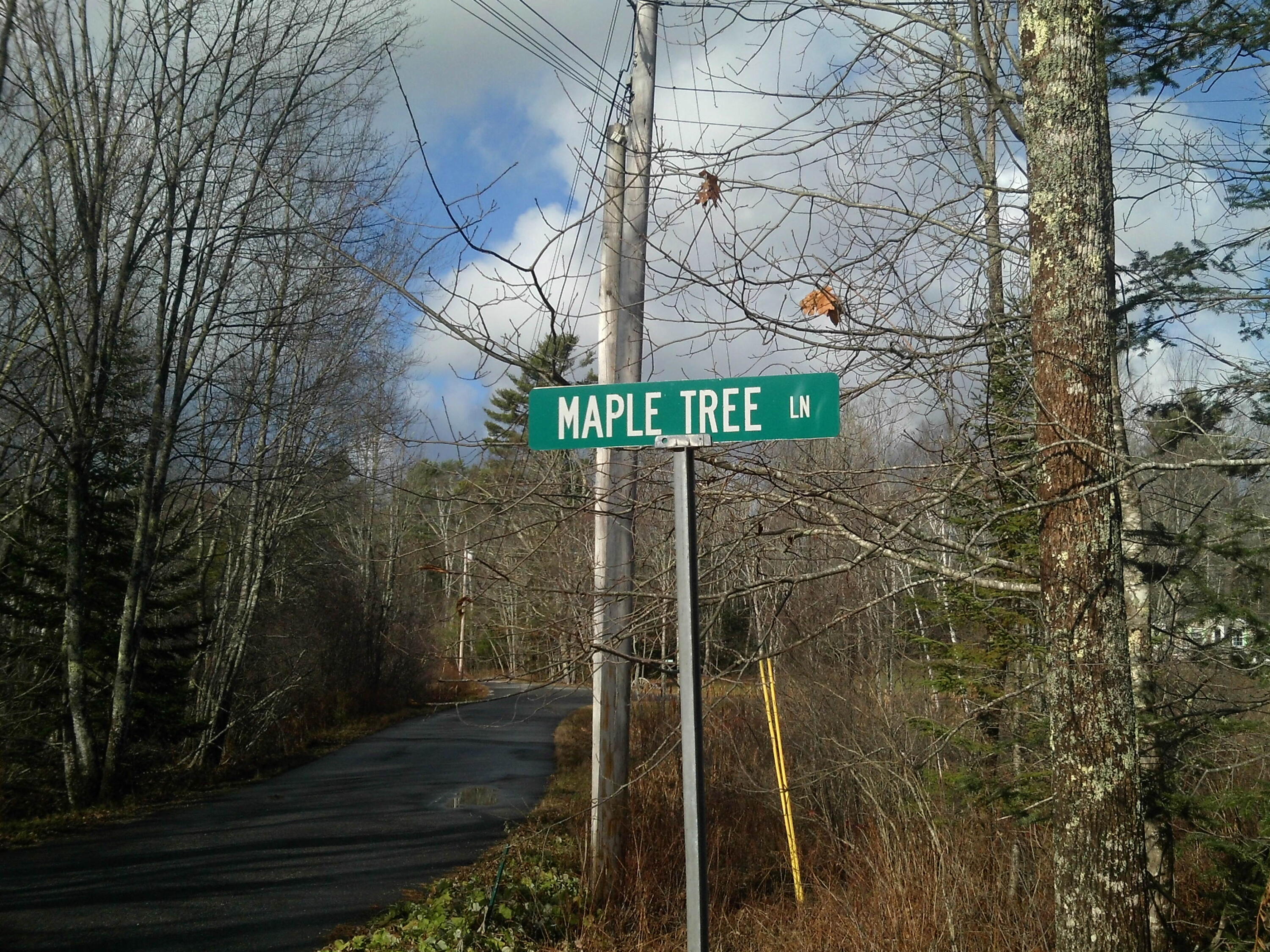 18 Mapletree Lane Edgecomb, ME 04556 - Photo 1 of 1 18 Maple Tree