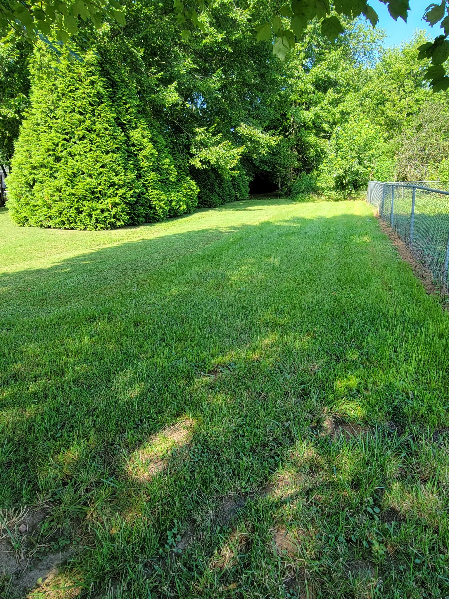 2542 Liverpool Road Indian Mound, TN 37079 - Photo 19 of 20 Gallery Image 19