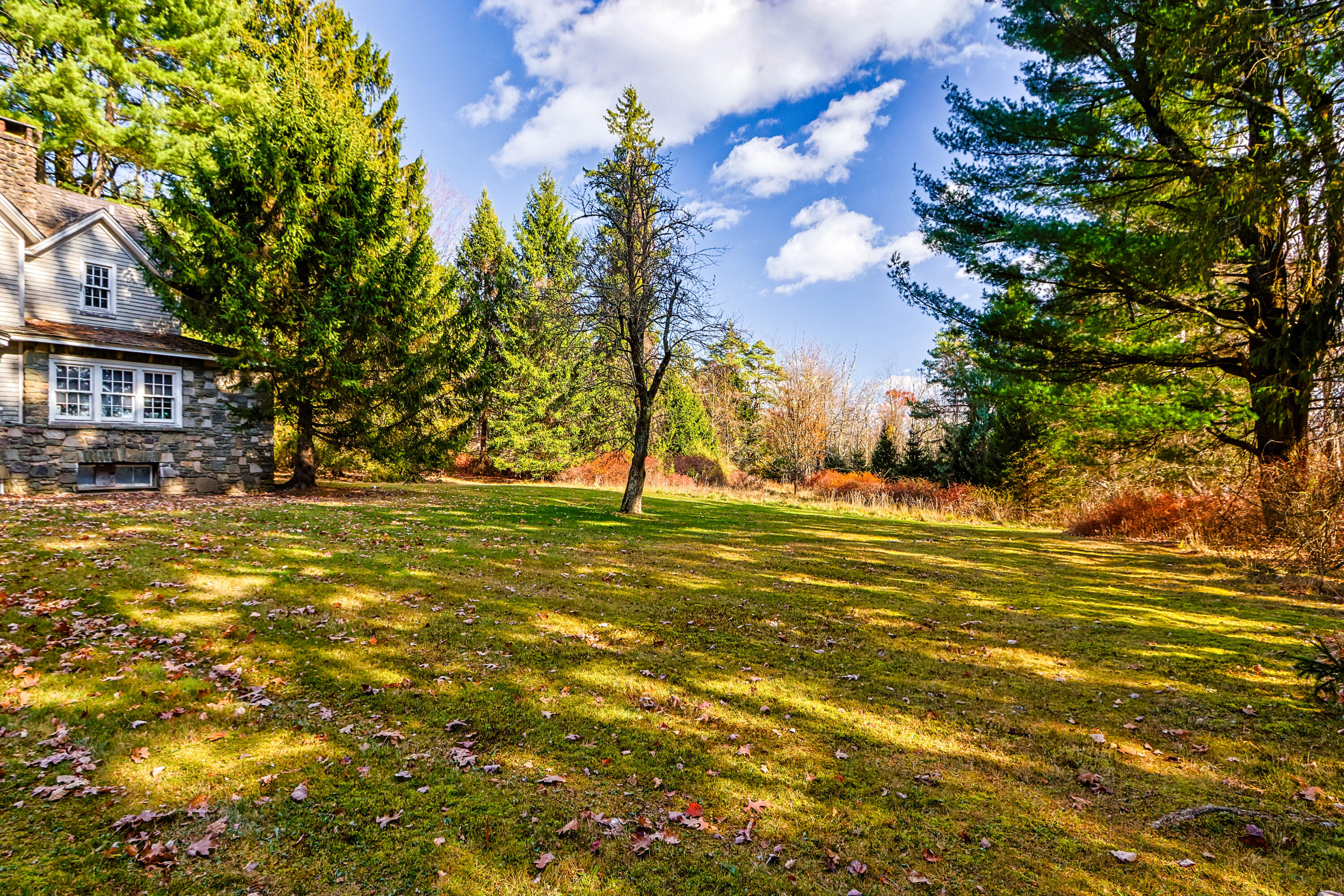 2872 Highway 390 Canadensis, PA 18325 - Photo 5 of 19 a view of yard with swimming pool and trees