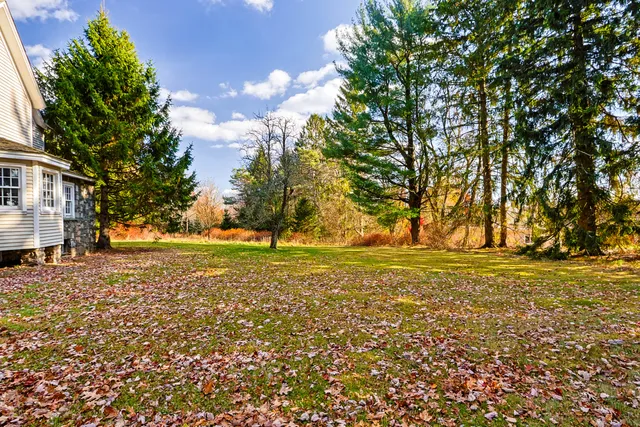 a view of a yard with a tree