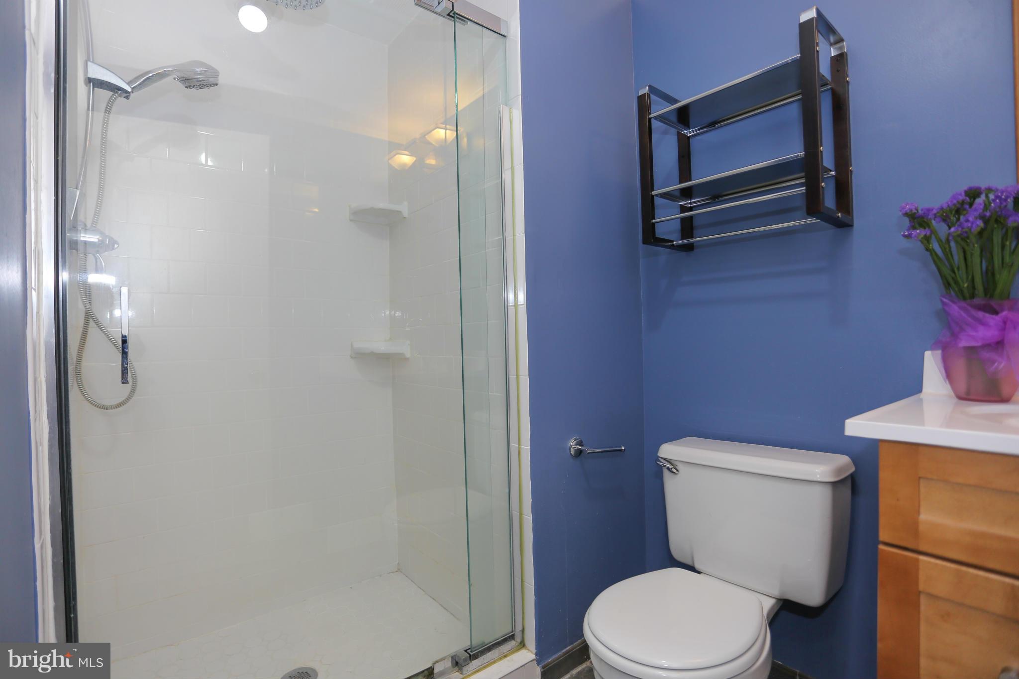 311 Crescendo Way Silver Spring, MD 20901 - Photo 20 of 29 Bath (Master)