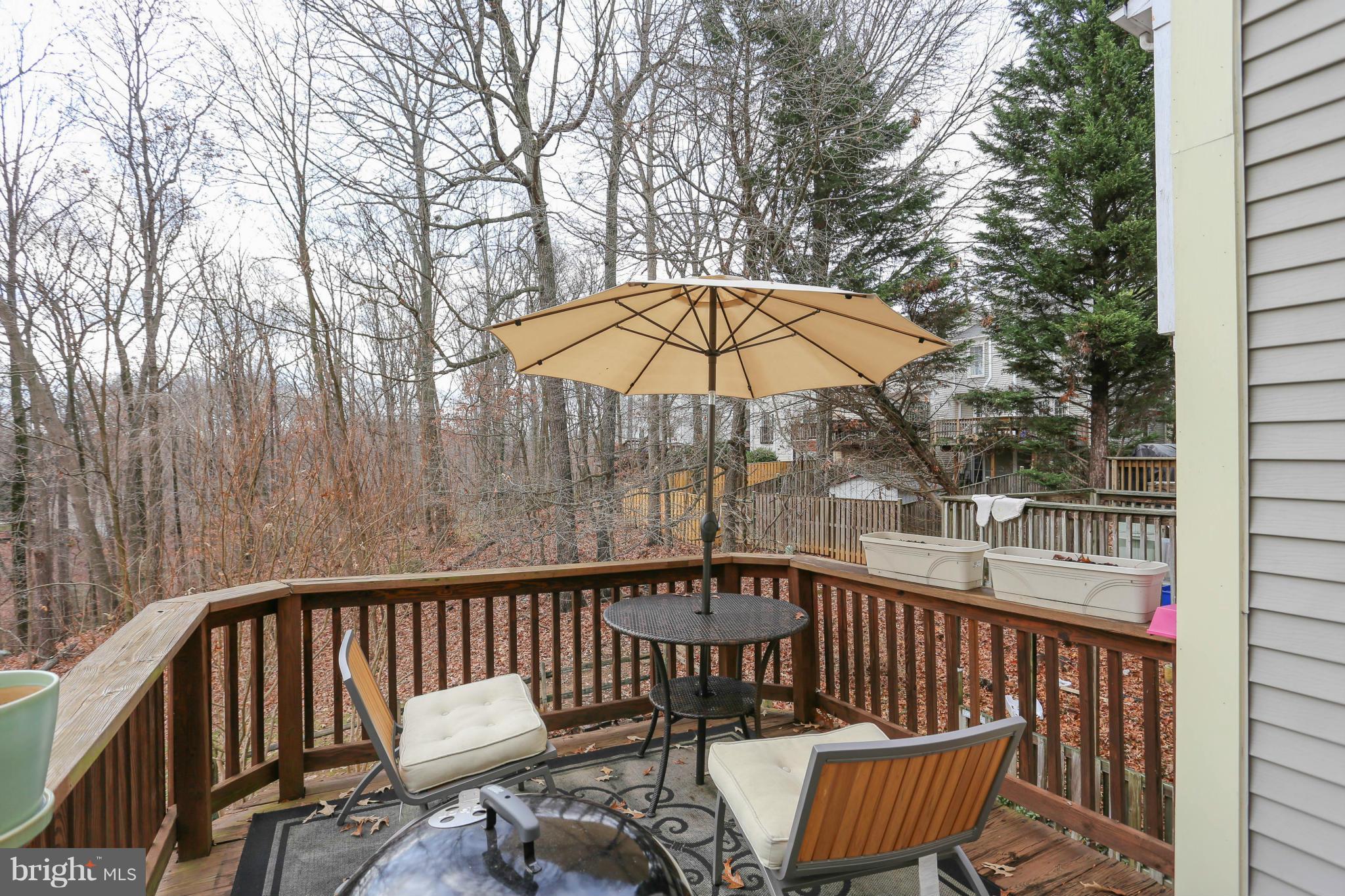 311 Crescendo Way Silver Spring, MD 20901 - Photo 28 of 29 View