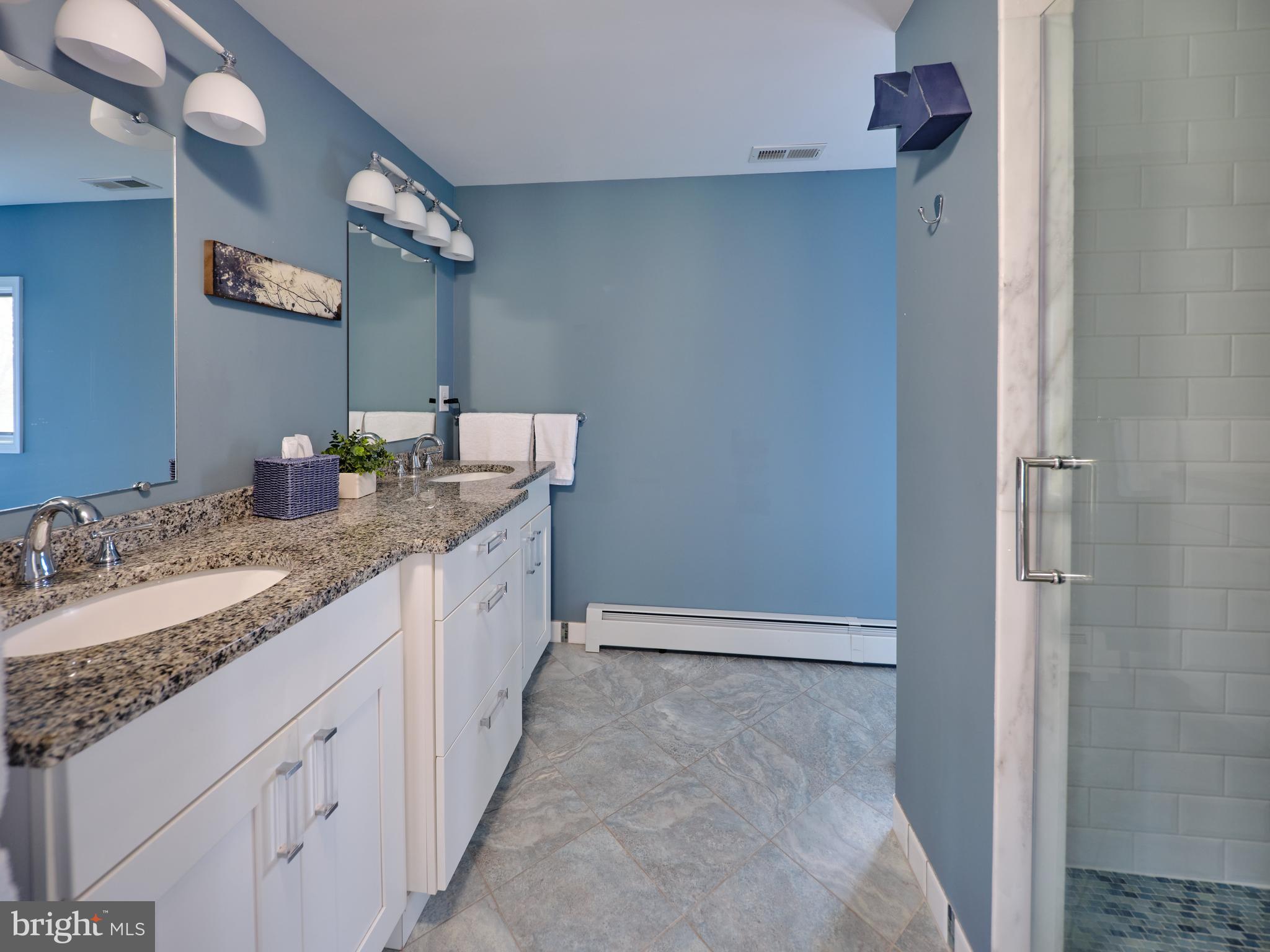 3445 Windy Bush Road New Hope, PA 18938 - Photo 22 of 47 Renovated Master Bath