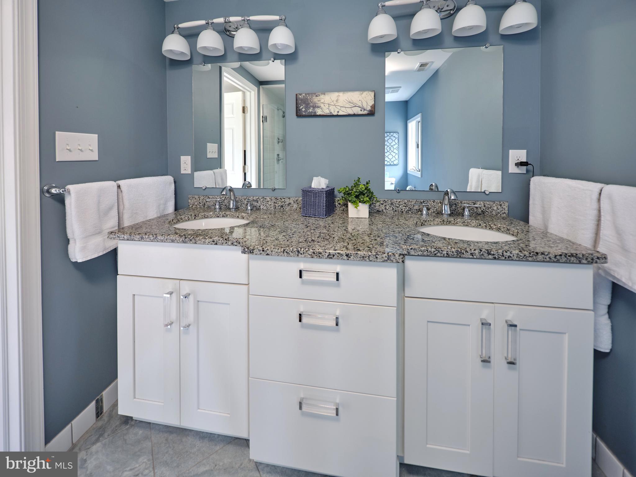 3445 Windy Bush Road New Hope, PA 18938 - Photo 23 of 47 Double Vanity