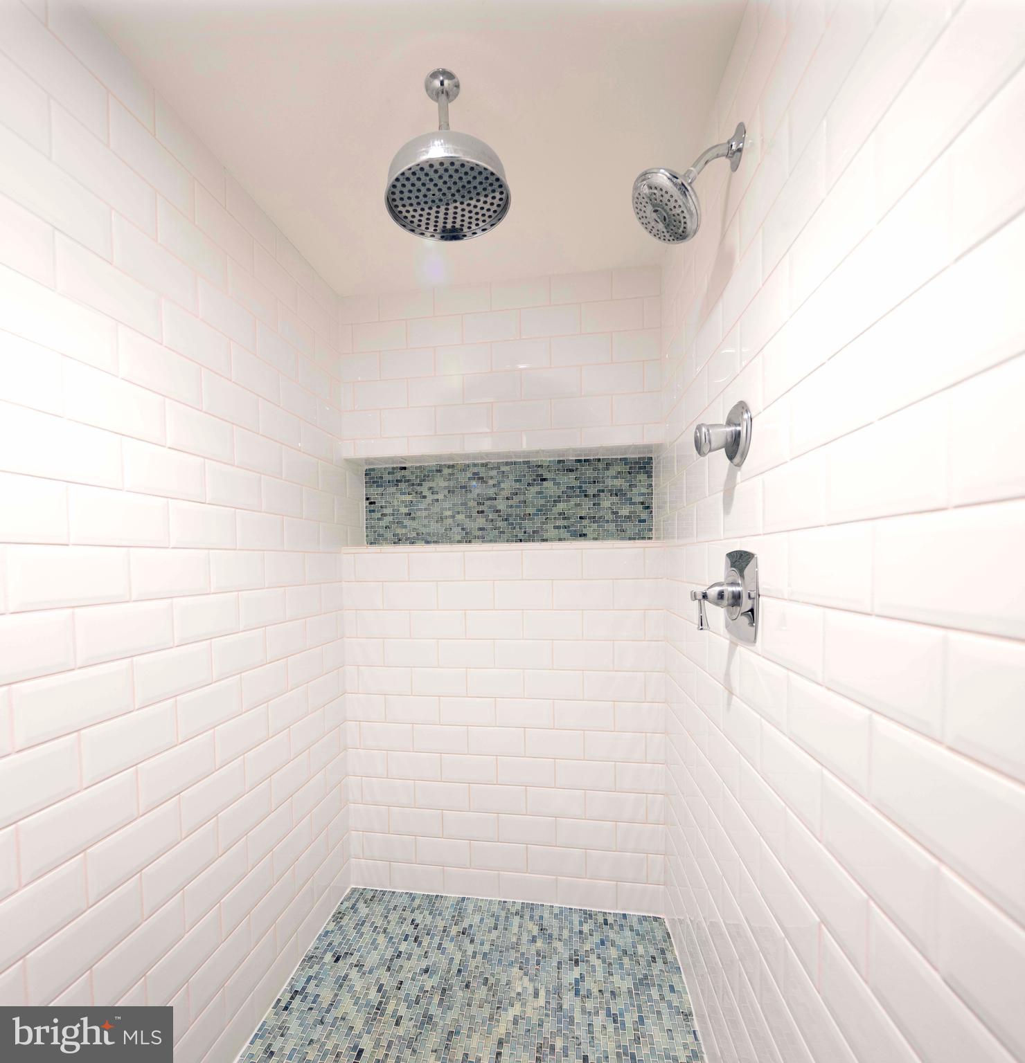 3445 Windy Bush Road New Hope, PA 18938 - Photo 24 of 47 Luxurious Walk-In Shower