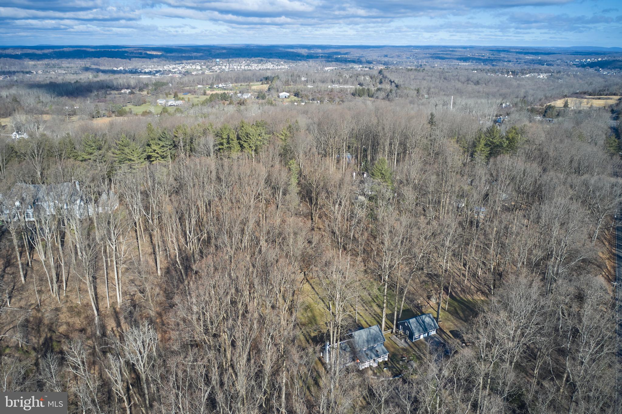 3445 Windy Bush Road New Hope, PA 18938 - Photo 35 of 47 Privacy Abounds