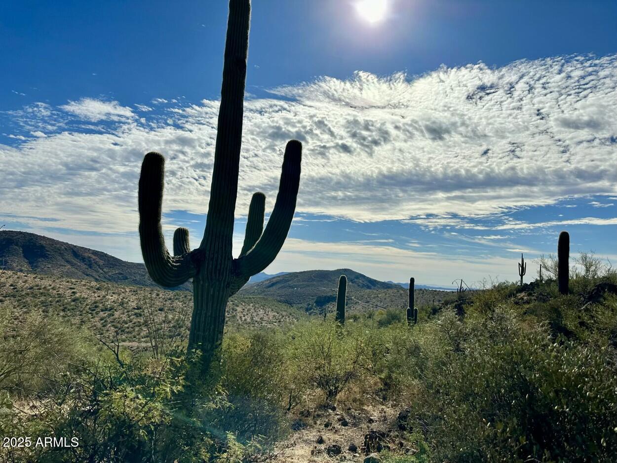 a view of a backyard of the ocean