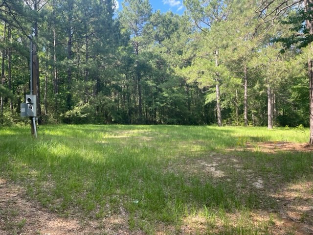 93 Leonard Road Tylertown, MS 39667 - Photo 39 of 41 Photo 39
