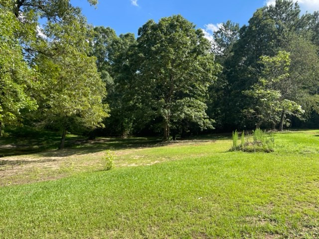 93 Leonard Road Tylertown, MS 39667 - Photo 5 of 41 Photo 5