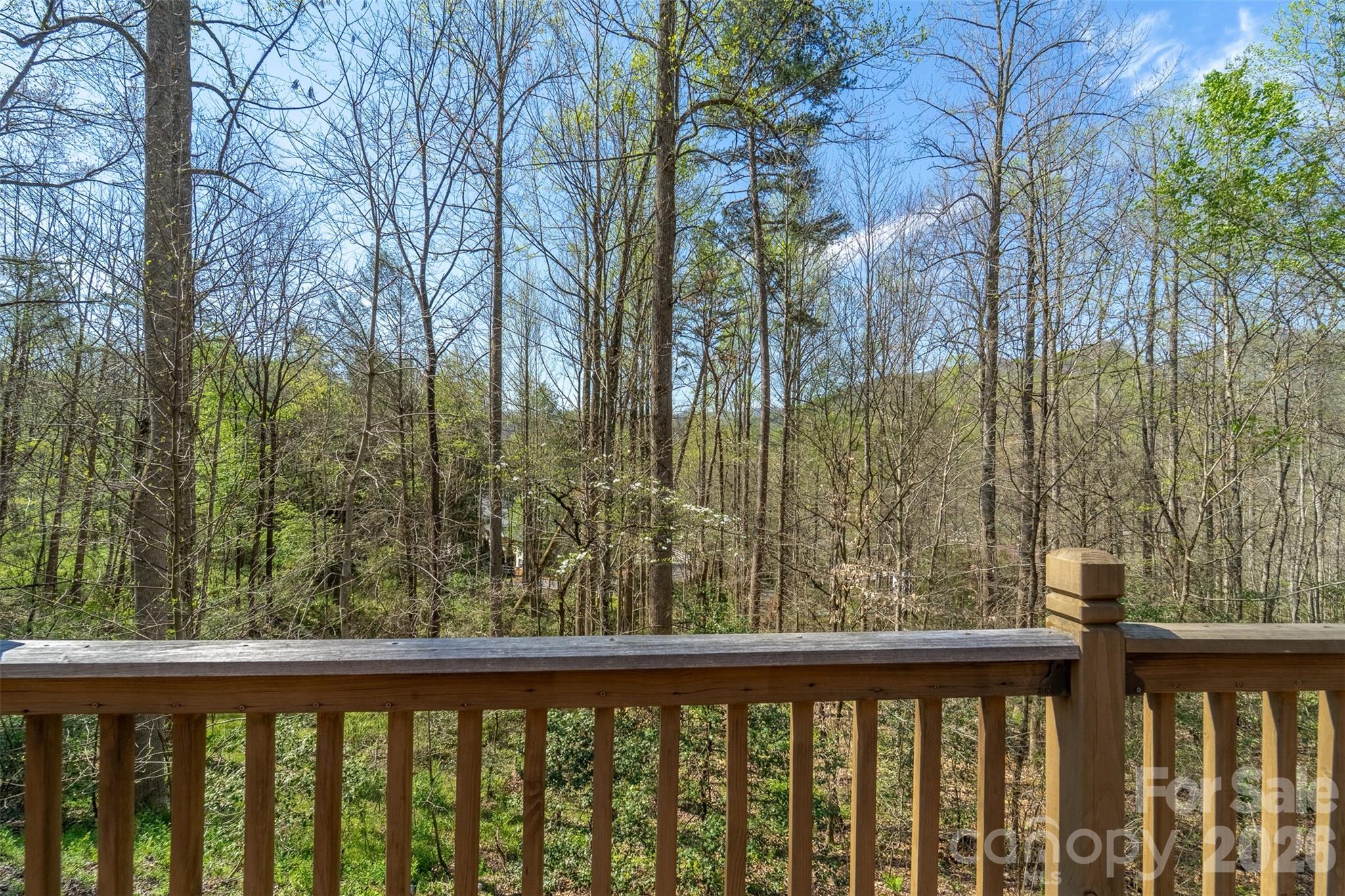 201 Wind Crest Ridge Sylva, NC 28779 - Photo 24 of 42
