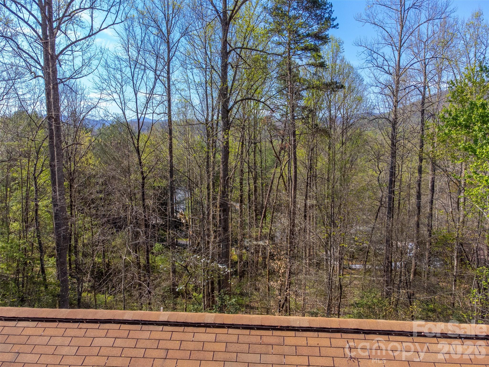 201 Wind Crest Ridge Sylva, NC 28779 - Photo 33 of 42