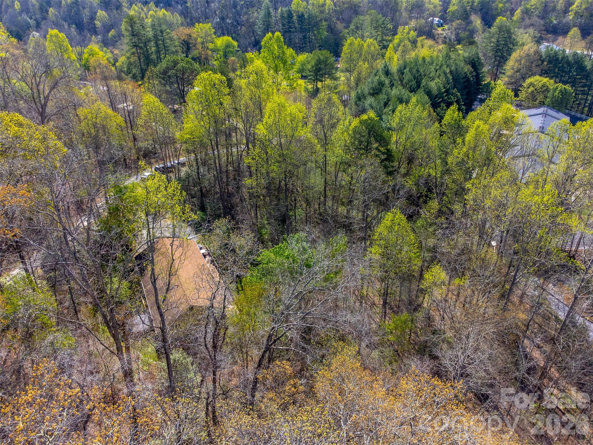 201 Wind Crest Ridge Sylva, NC 28779 - Photo 38 of 42