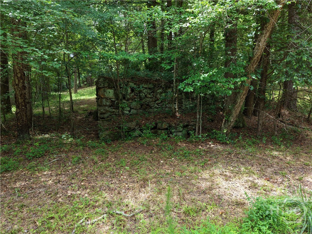 2425 Spratlin Mill Road Hull, GA 30646 - Photo 54 of 70