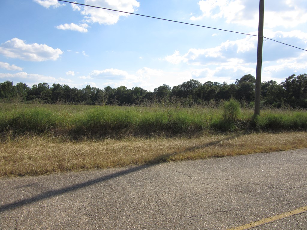0 Baxter Road Webb, AL 36376 - Photo 5 of 8