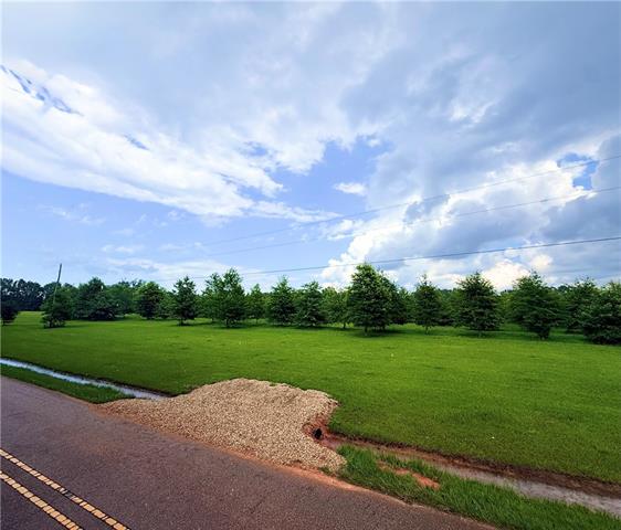 Tract2 John D Wood Road Franklinton, LA 70438 - Photo 3 of 8