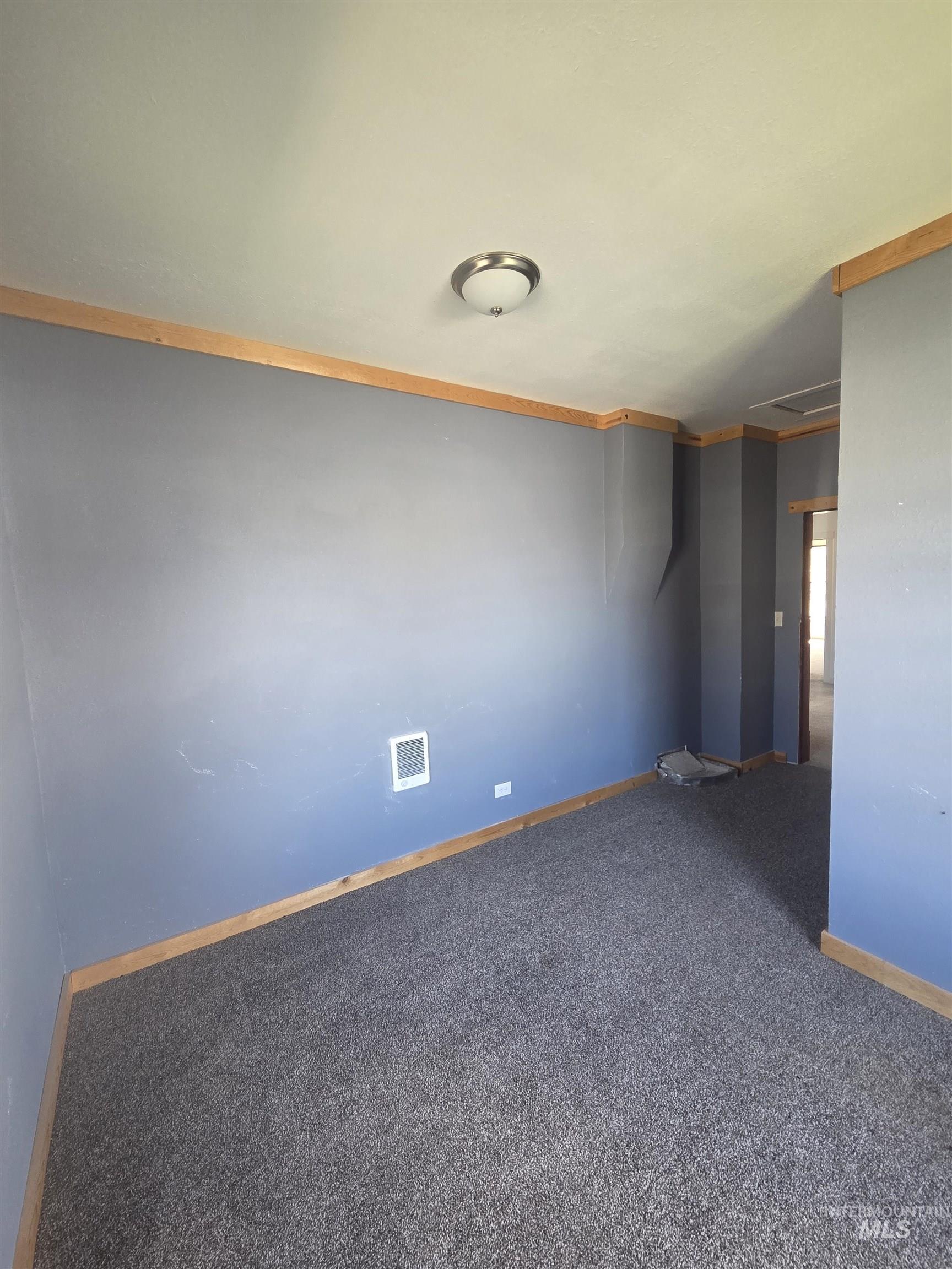 986 Columbia Street Pomeroy, WA 99347 - Photo 11 of 20 Carpeted room featuring a ceiling-mounted light fixture, blue painted walls, light wood trim, and a wall-mounted vent