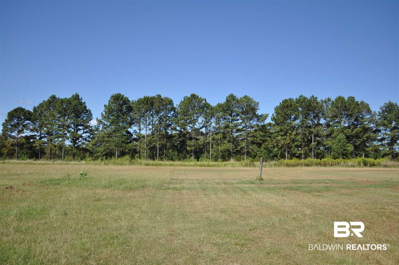 1499 Johnson Road Perdido, AL 36562 - Photo 14 of 15