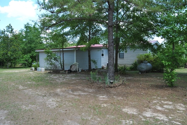 3361 Marshall Mill Road Byron, GA 31008 - Photo 2 of 7 a view of backyard and tree