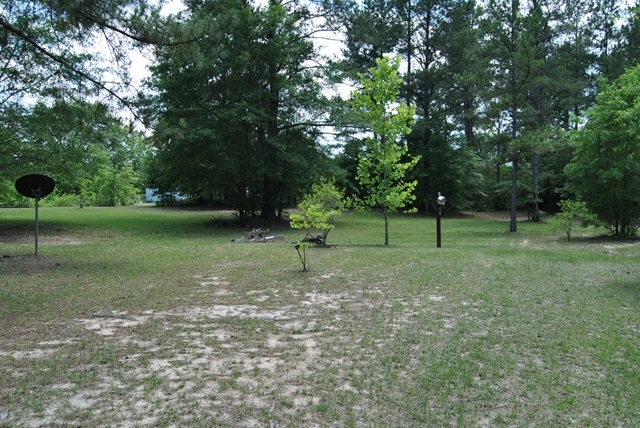 3361 Marshall Mill Road Byron, GA 31008 - Photo 3 of 7 a view of a tree in a park