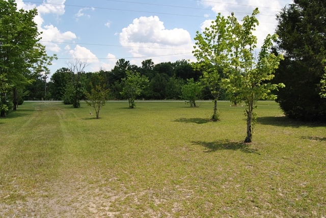 3361 Marshall Mill Road Byron, GA 31008 - Photo 6 of 7 a view of outdoor space with city view