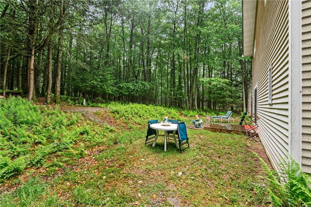 47 Johns Road Cochecton, NY 12726 - Photo 24 of 28 View of yard
