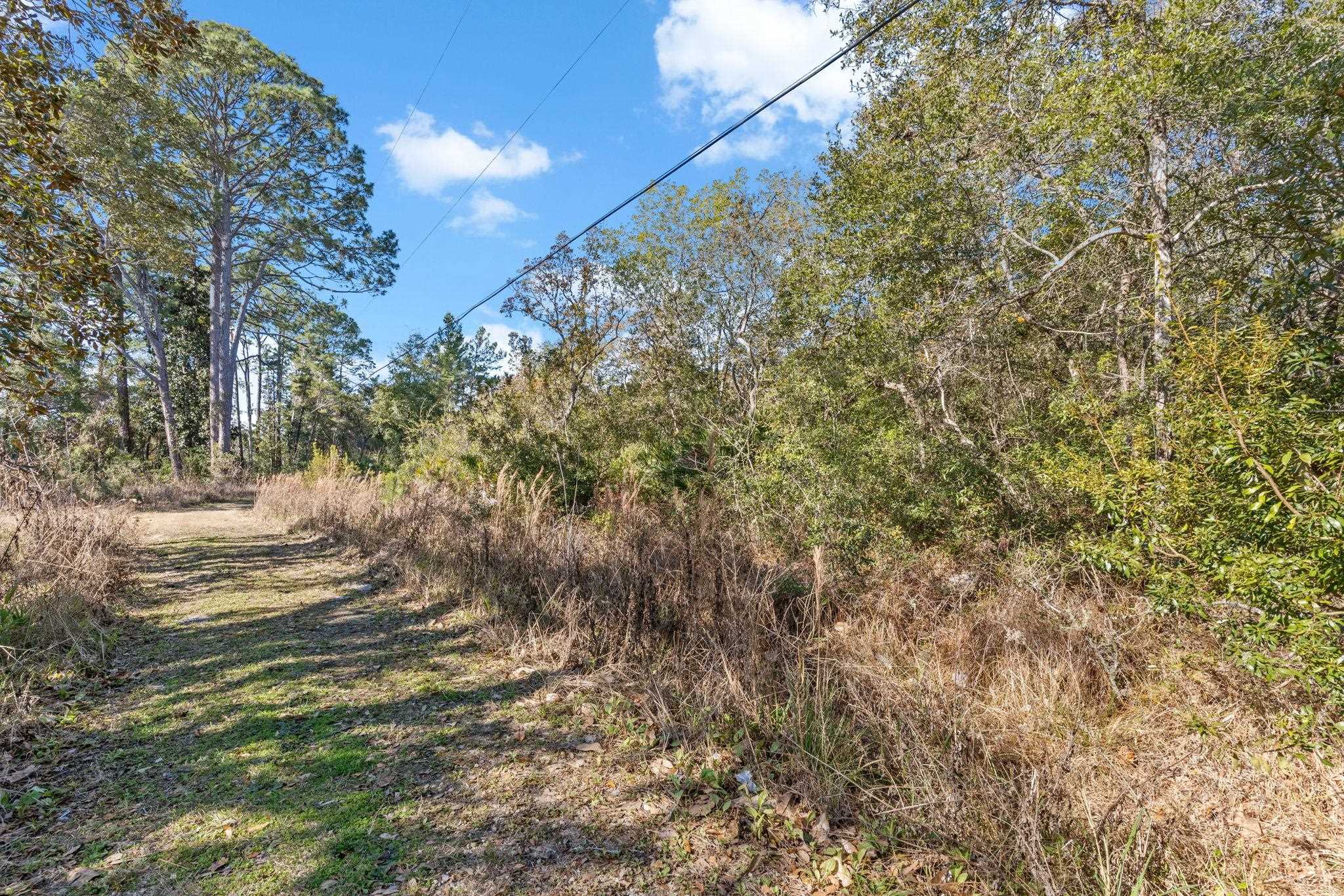115 Kansas Street Carrabelle, FL 32322 - Photo 14 of 18