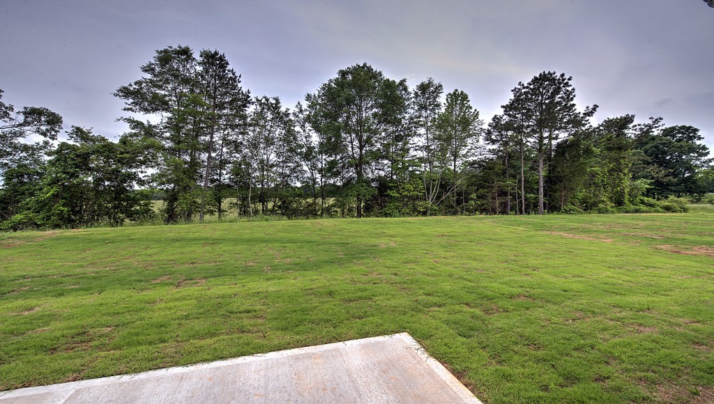 214 Hillendale Way Pelzer, SC 29669 - Photo 7 of 37