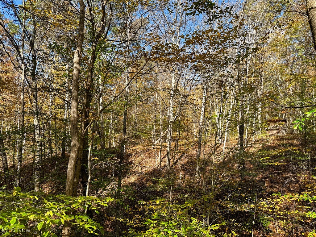 0 Clark Road Cutler, OH 45724 - Photo 19 of 26 View of wooded area